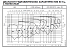 NSCF 125-200/450/W25VCC4 - График насоса NSC, 4 полюса, 2990 об., 50 гц - картинка 3